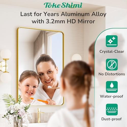 TokeShimi 16x20 Brushed Gold Bathroom Mirror,Vanity Mirror Bathroom Wall with...