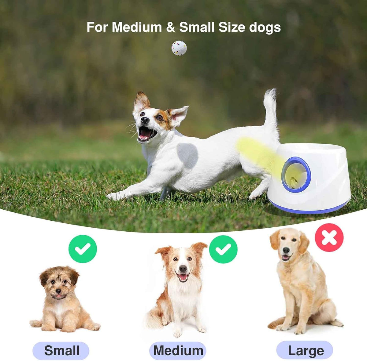 Automatic Dog Ball Launcher, with 6 2.3" ETPU Balls, for Small/Medium Dogs
