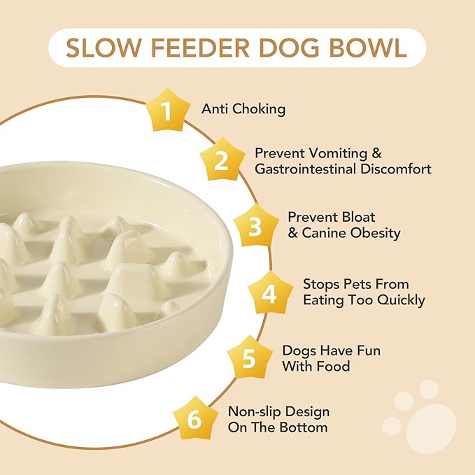 Ceramic Raised Slow Feeder Dog Bowl Set, Elevated 7.3inch Bowl and 8.2inch Slow