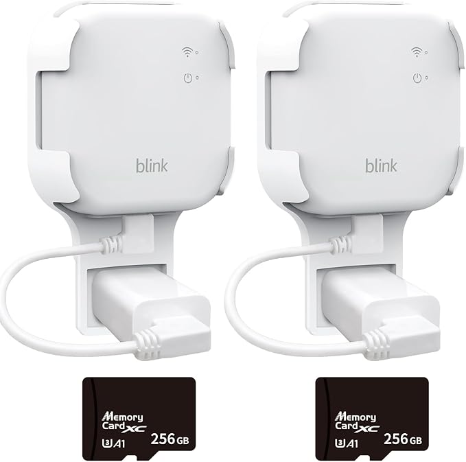 256GB MicroSD Card & Wall Mount (2 Pack)