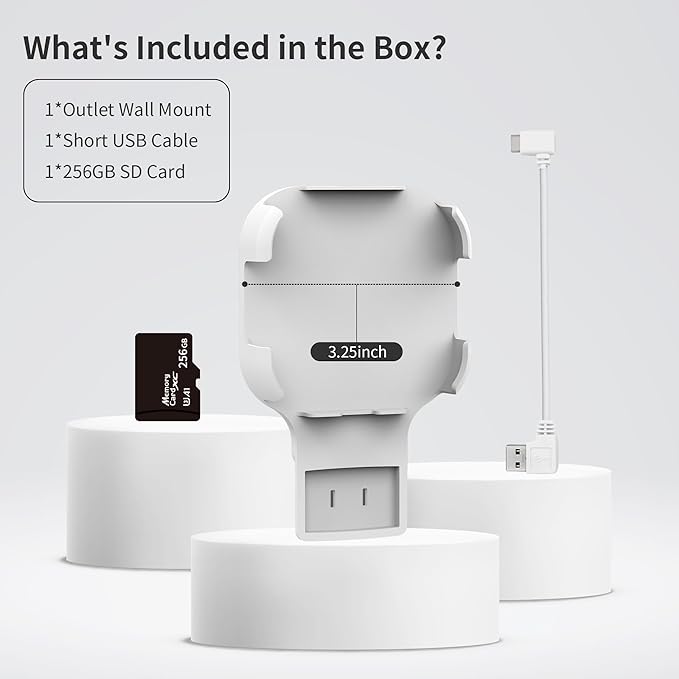 256GB MicroSD Card & Wall Mount