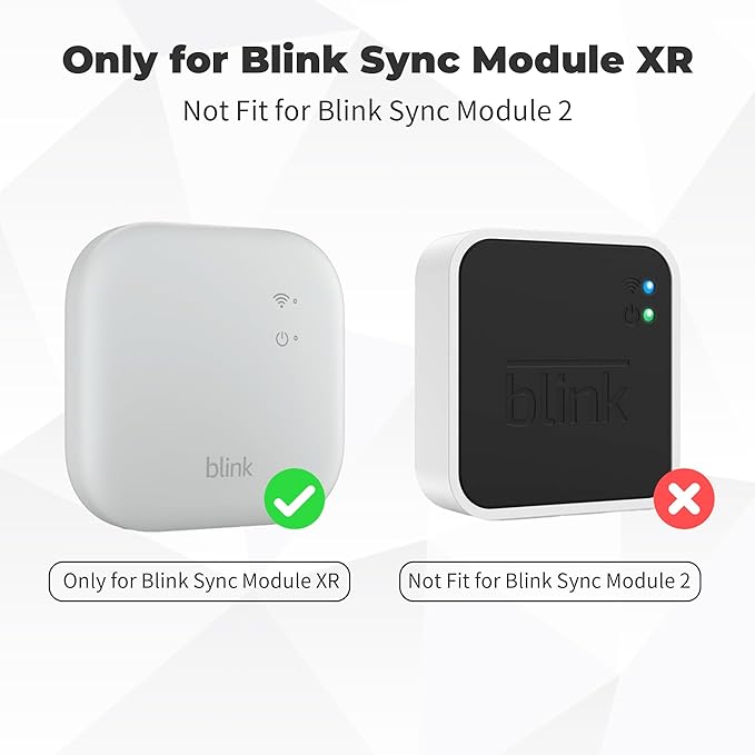 256GB MicroSD Card & Wall Mount