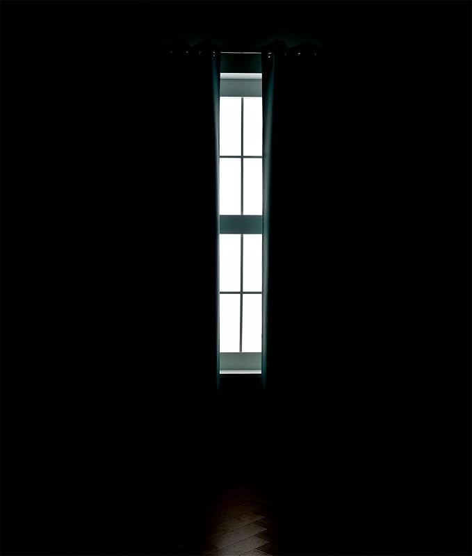 MIUCO 1 Pair Thermal Insulated Grommet 52-Inch-by-95-Inch Blackout Window