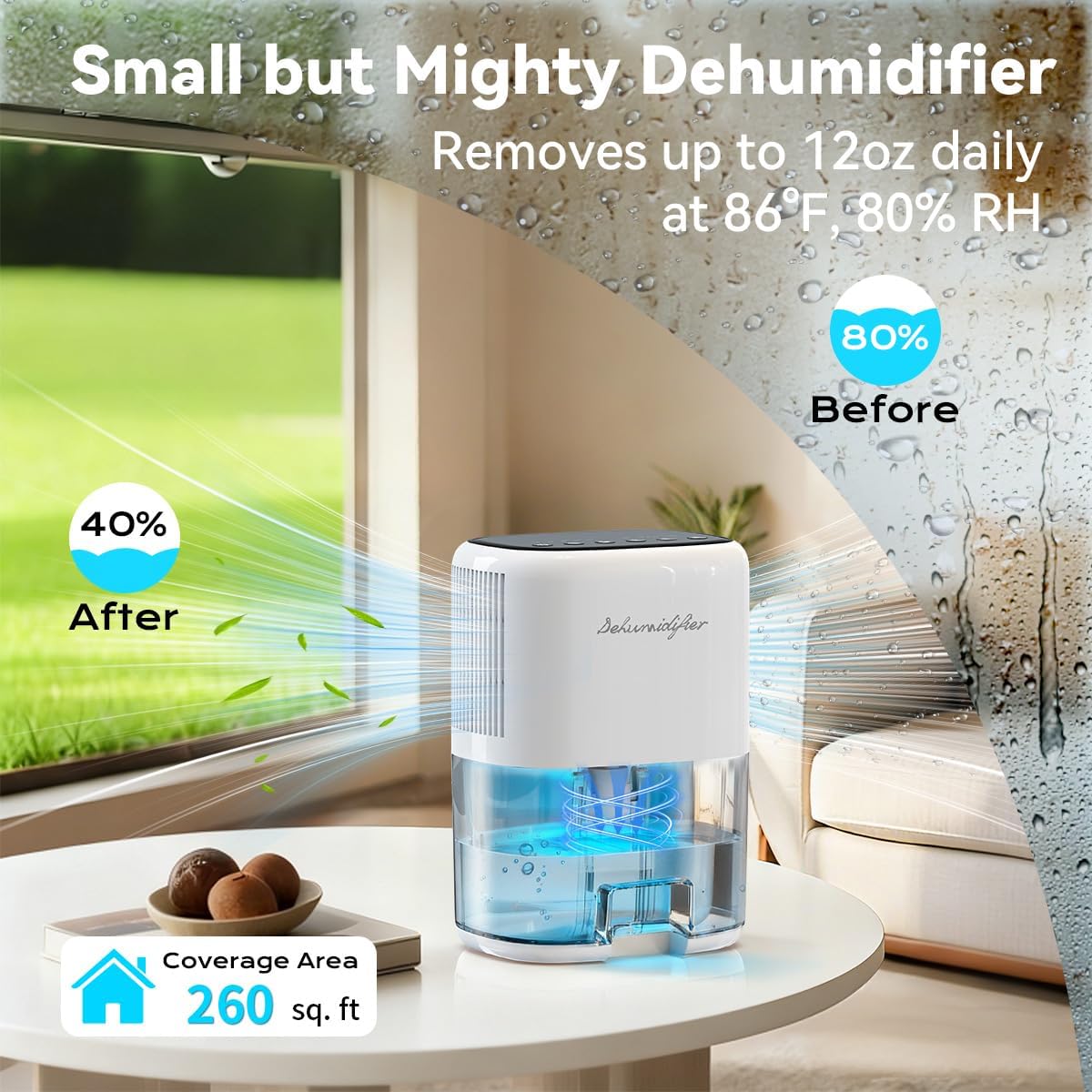 Small Dehumidifier for Home 44OZ Quiet with Auto Off & Defrost 5 Timers 3...