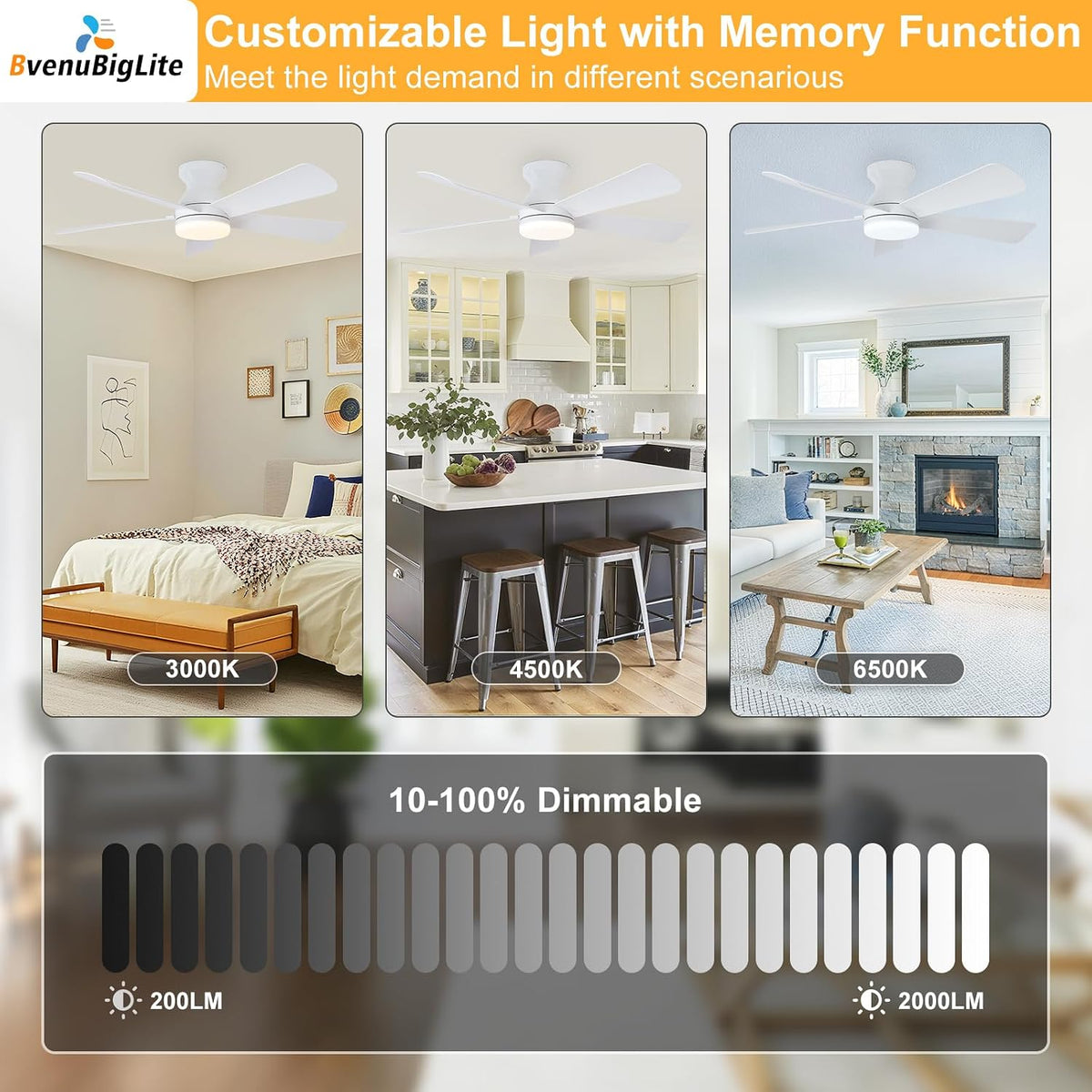 Ceiling Fans with Lights and Remote: 42 Inch Ceiling Fan with Light Low Profi...