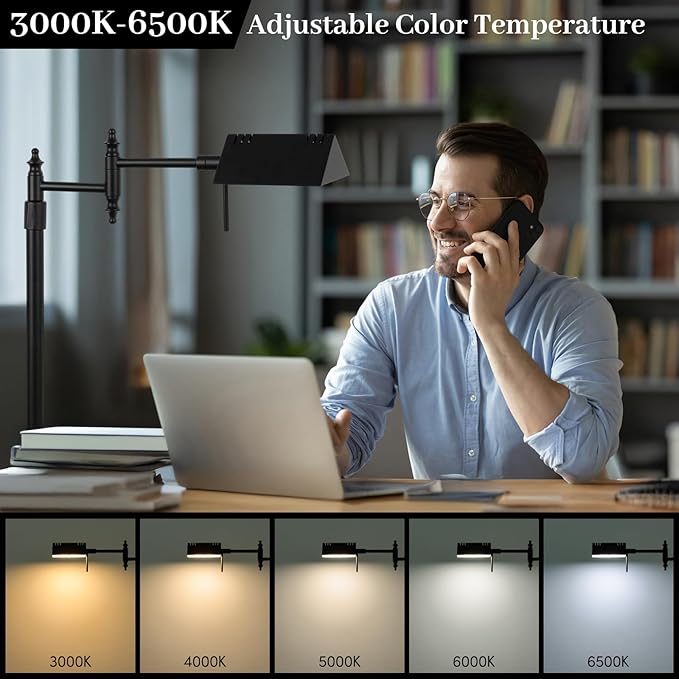 Bairth Dimmable Pharmacy Floor Lamp