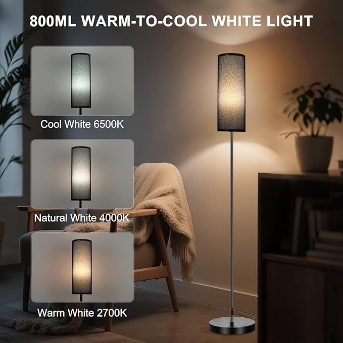 FRIDEKO HOME Floor Lamp, Color Changing Ambient Lighting