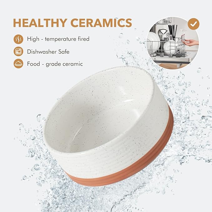 Ceramic 6.1inch Raised Double Dog Bowls Set