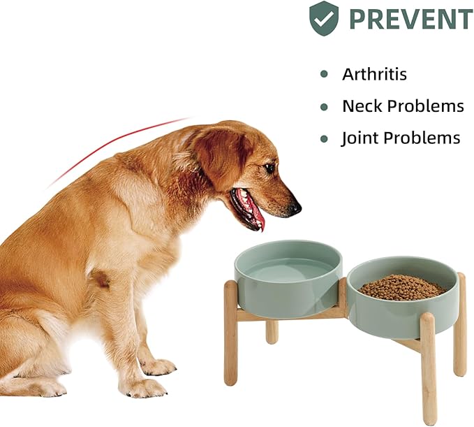 Ceramic 8.2inch Raised Dog Bowl