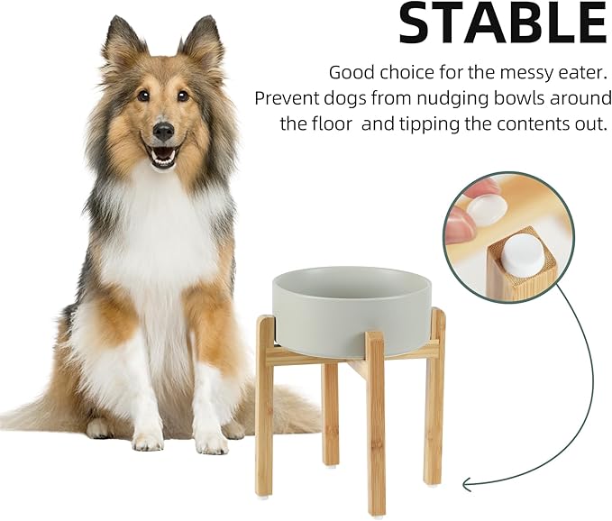 Ceramic 8.2inch Raised Dog Bowl Set, Elevated Feeder