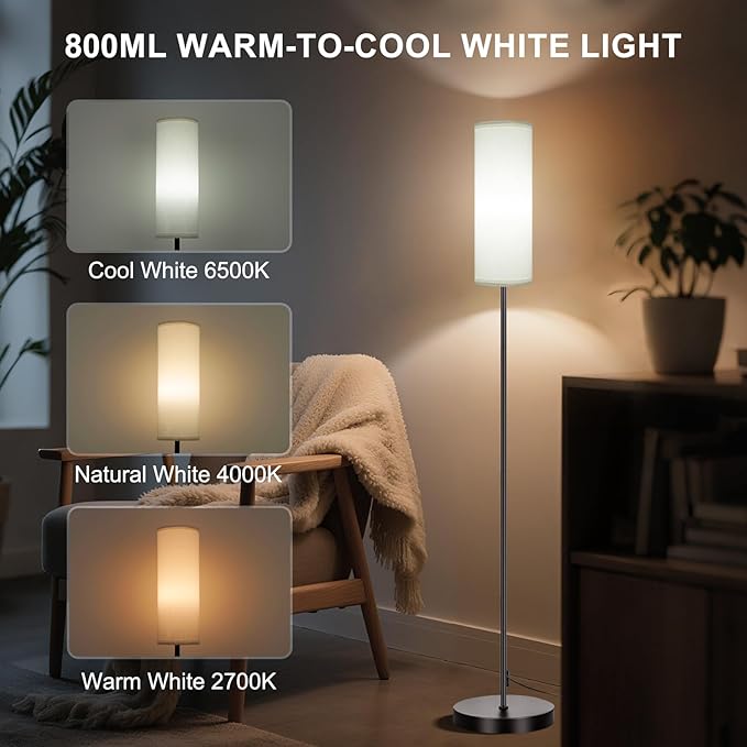 FRIDEKO HOME Floor Lamp, Color Changing Ambient Lighting