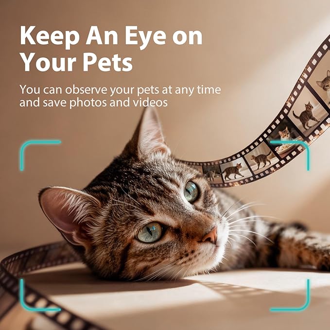 IMIPAW 5L Automatic Cat Feeder
