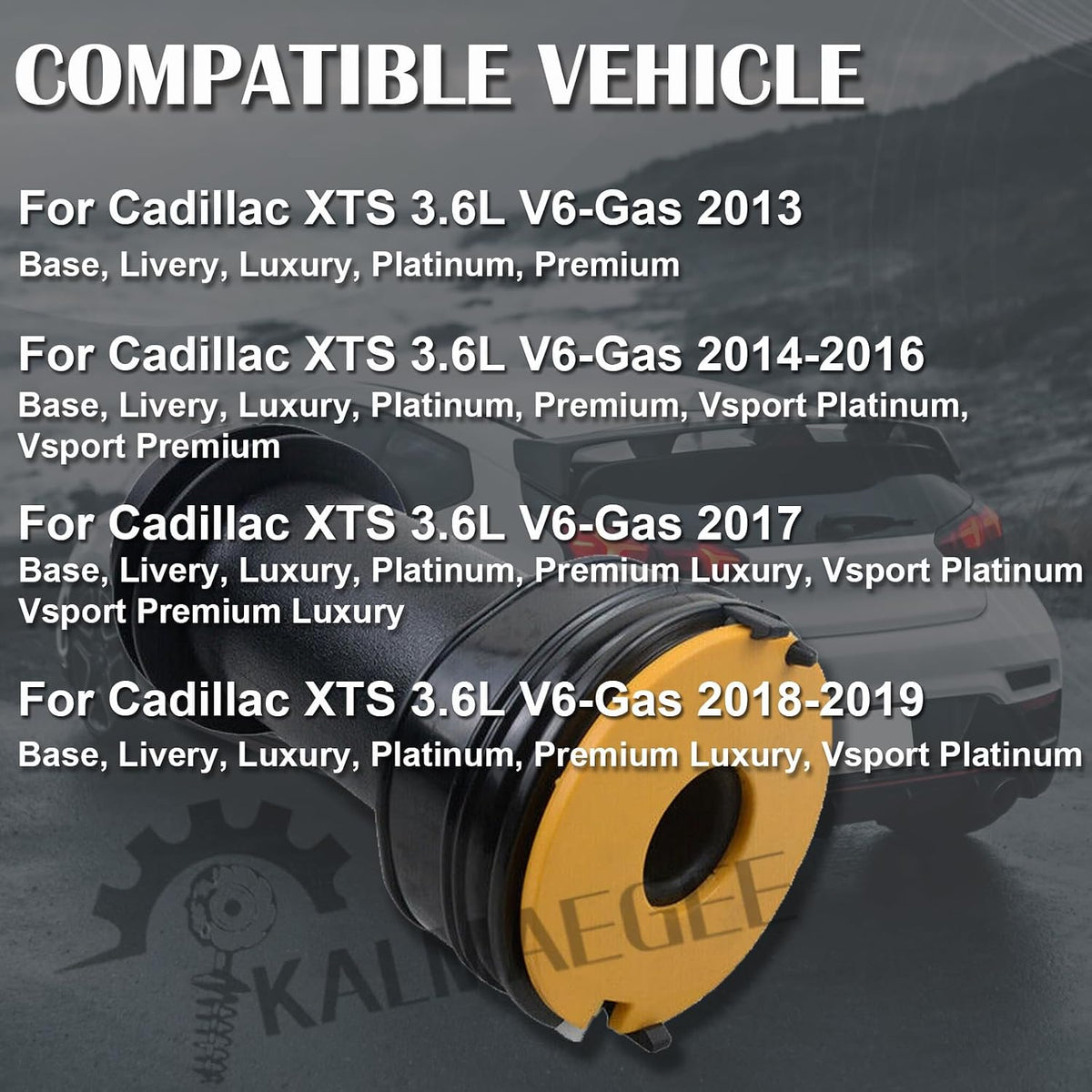 2PCS Rear Air Spring Kits Air Suspension Bags for Cadillac XTS 2013-2019