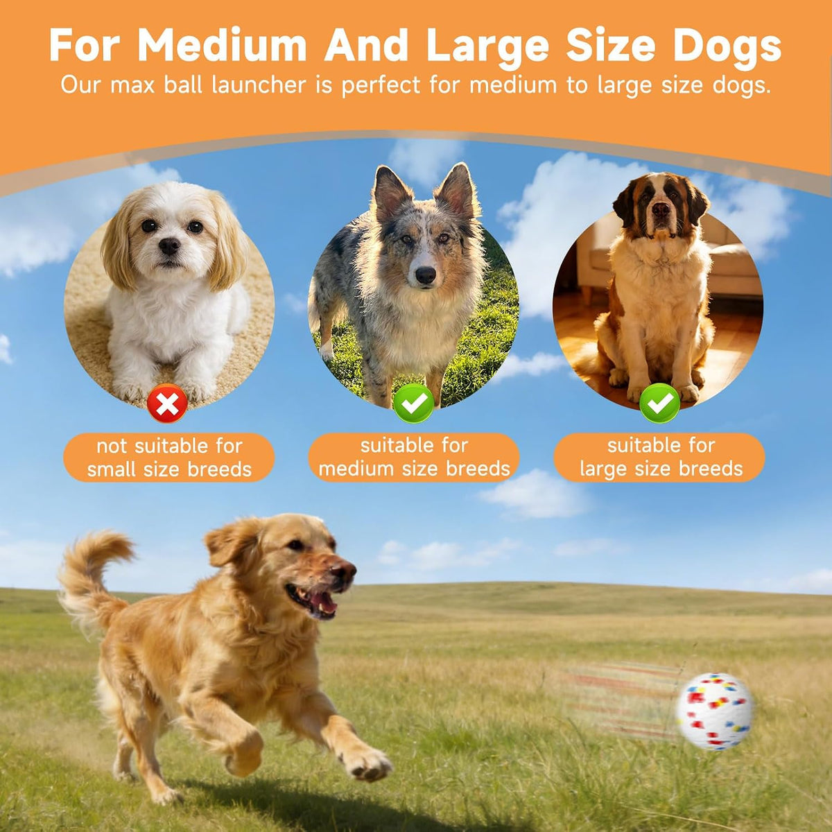 Automatic Dog Ball Launcher, 6 ETPU Balls, Adjustable Distance