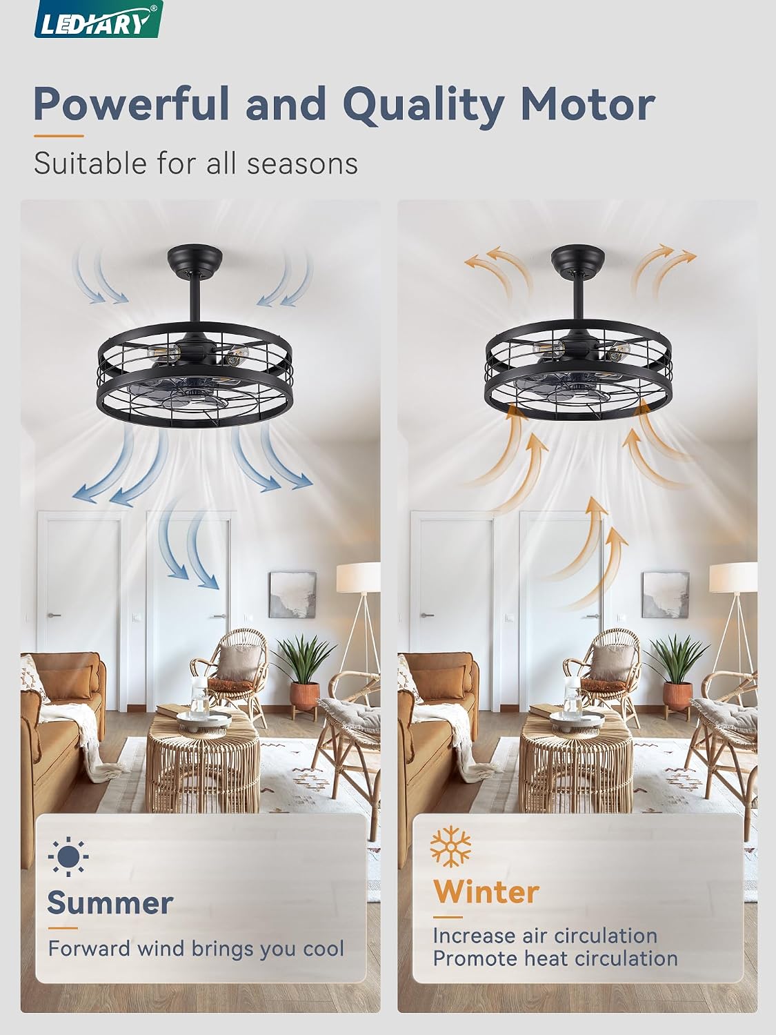 LEDIARY 20 inch Fandelier Caged Ceiling Fan with Light and Remote, Black