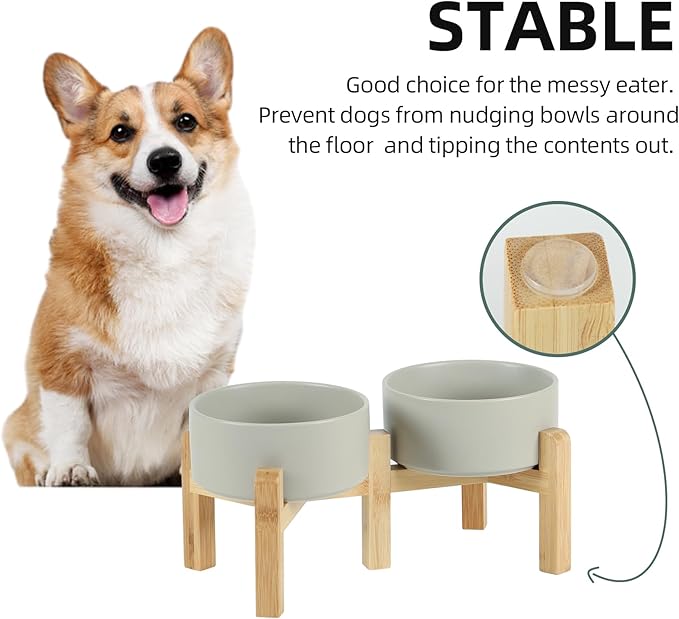 Ceramic Raised Double Bowls Set