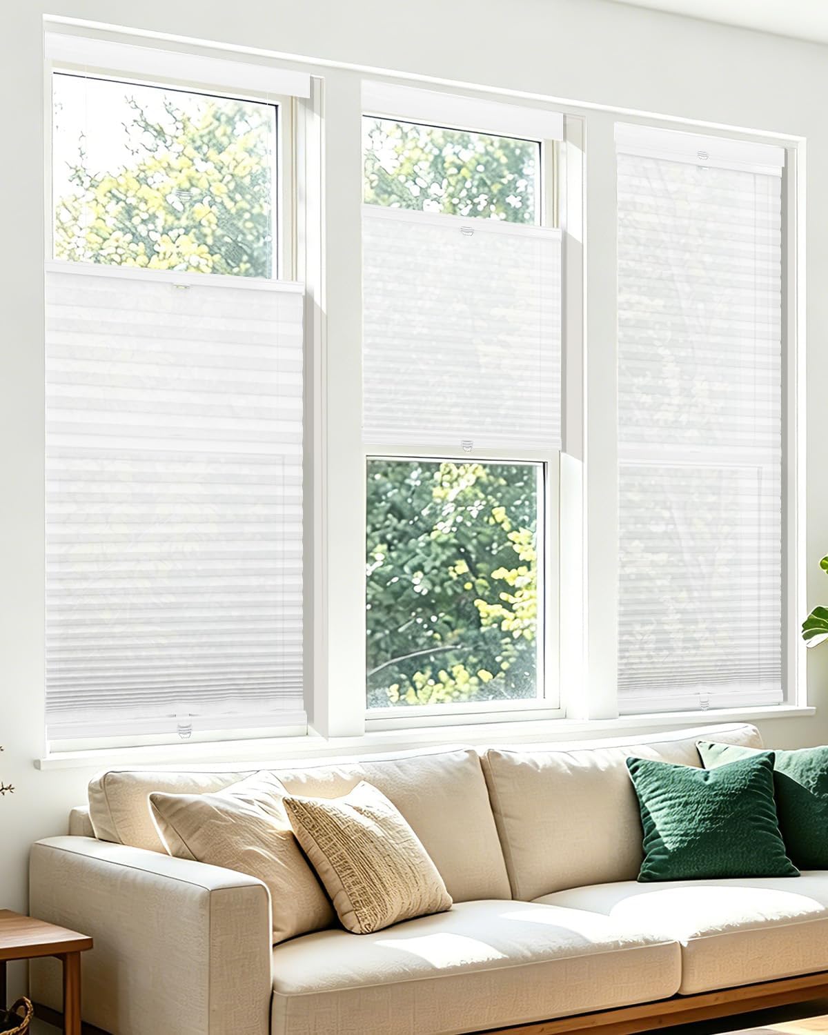 Allesin Top Down Bottom Up Cordless Cellular Shades,Thermal Insulation Honeyc...
