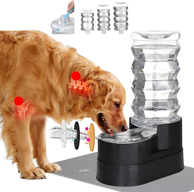 RIZZARI Large Water Dispenser for Dogs: 8L Raised Black Auto-Refill Stainless