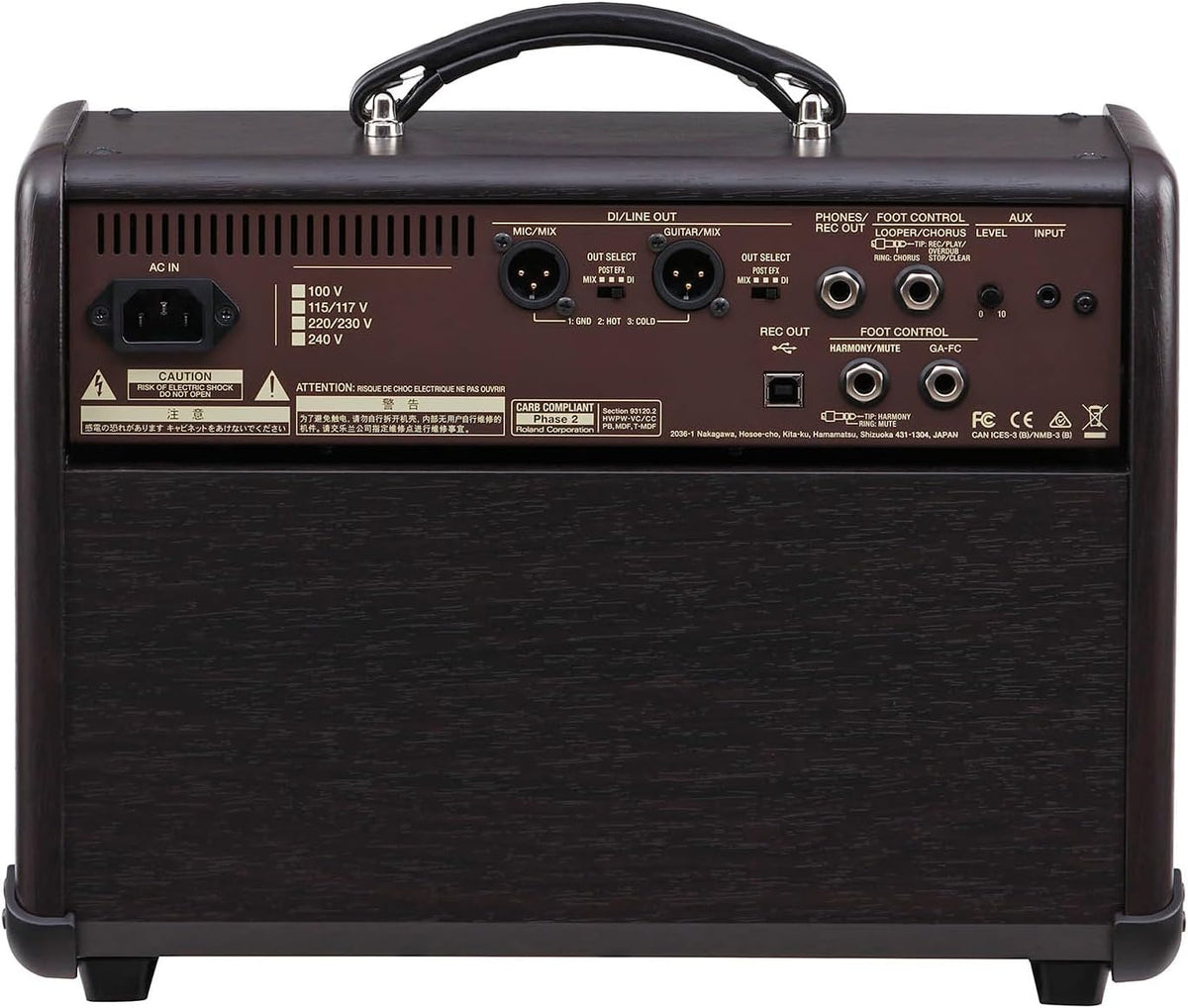 BOSS ACS-Live Combo Amplifier for Acoustic Guitar and Vocals