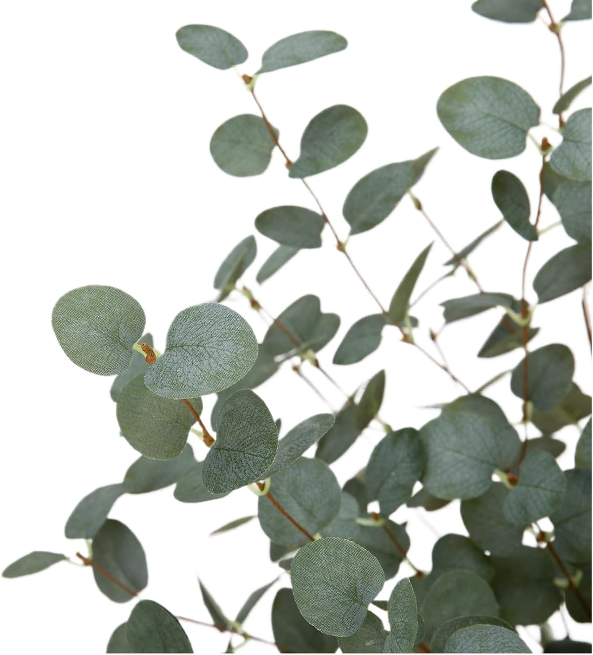 12 Pcs 27" Eucalyptus Stems Greenery Stems Eucalyptus Leaf Spray in Gree...