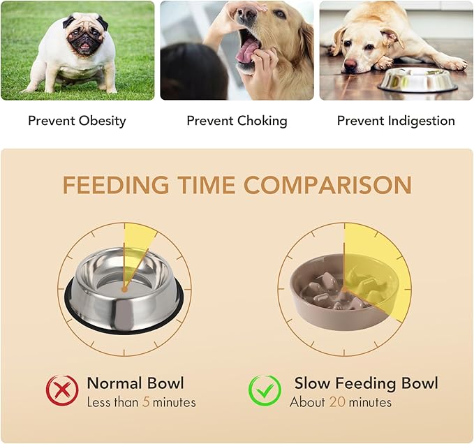 Ceramic 1.2 Cup Raised Slow Feeder Dog Bowl Set, Elevated 6.1inch Bowl and