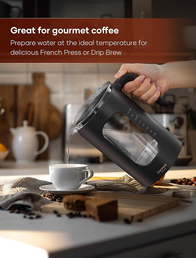 Electric Tea Kettle, INTASTING Glass Electric Kettle
