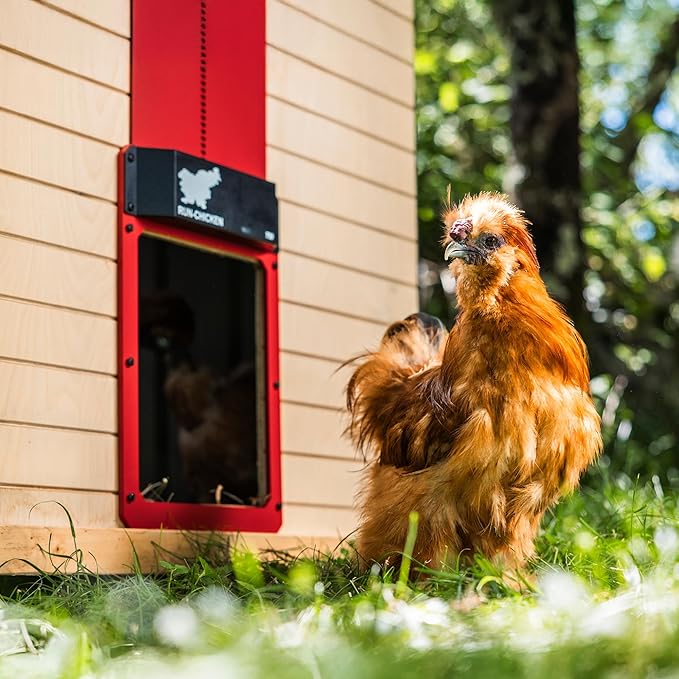 Run-Chicken Door T50 – Automatic Chicken Coop Door Opener, Battery Powered &