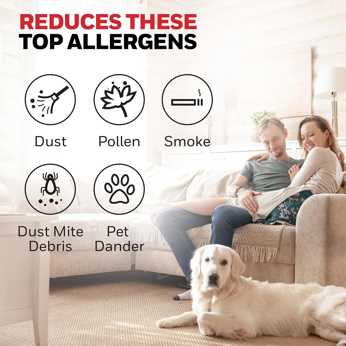 Honeywell Allergen Plus Compact Small Room HEPA Air Purifiers for Home