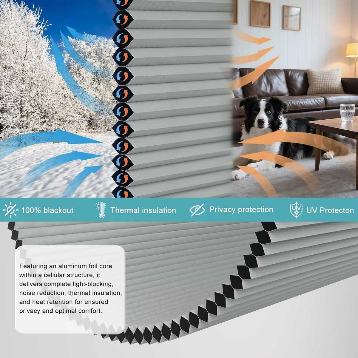 Top Down Bottom Up(TDBU) Cellular Shades, 1.5 inch Cordless Blackout Honeycom...