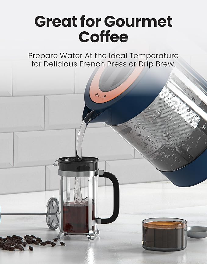 Vianté Electric Kettle With Infuser
