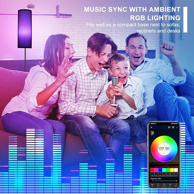 FRIDEKO HOME Floor Lamp, Color Changing Ambient Lighting