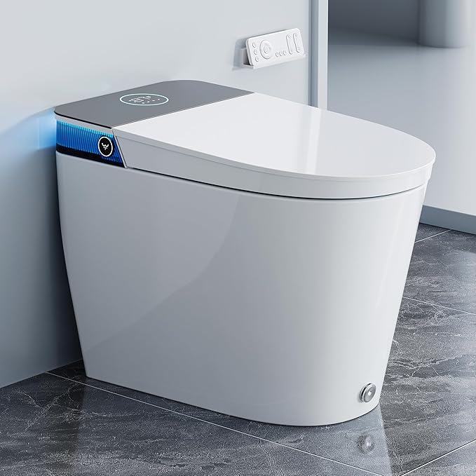 HOROW Artistic Bidet Toilet, Smart Toilet