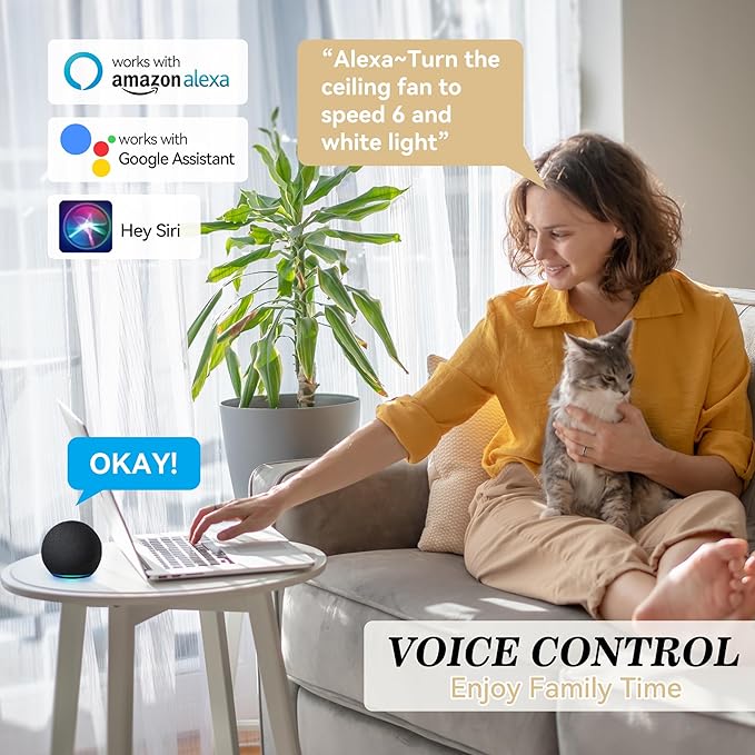 SMAAIR 52 Inch Smart Ceiling Fan
