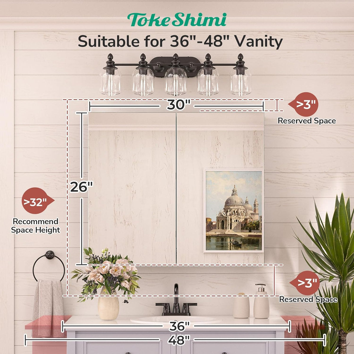 TokeShimi 30 x 26 Silver Aluminum Medicine Cabinet Mirror for Bathroom Surfac...