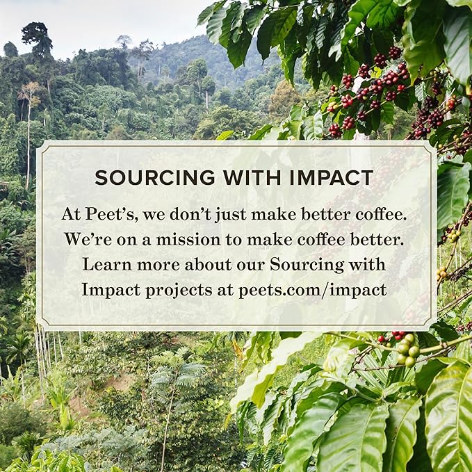 Peet's Coffee, Medium Roast Espresso Capsules, Compatible (50 Count)