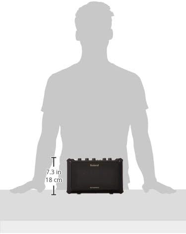 Roland Mobile-AC Portable Battery Powered Acoustic Guitar Amplifier