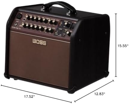 BOSS ACS-Live Combo Amplifier for Acoustic Guitar and Vocals