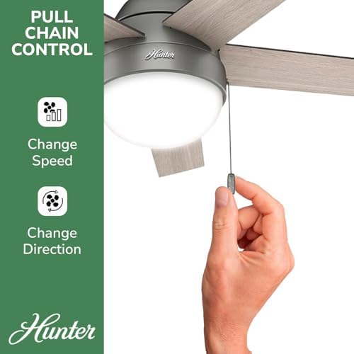 Hunter Anslee, Indoor, Ceiling Fan, with LED Light, 46 inch, Matte Silver