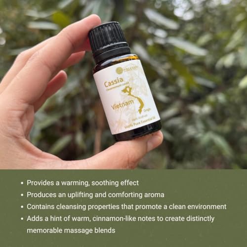 Cassia Essential Oil