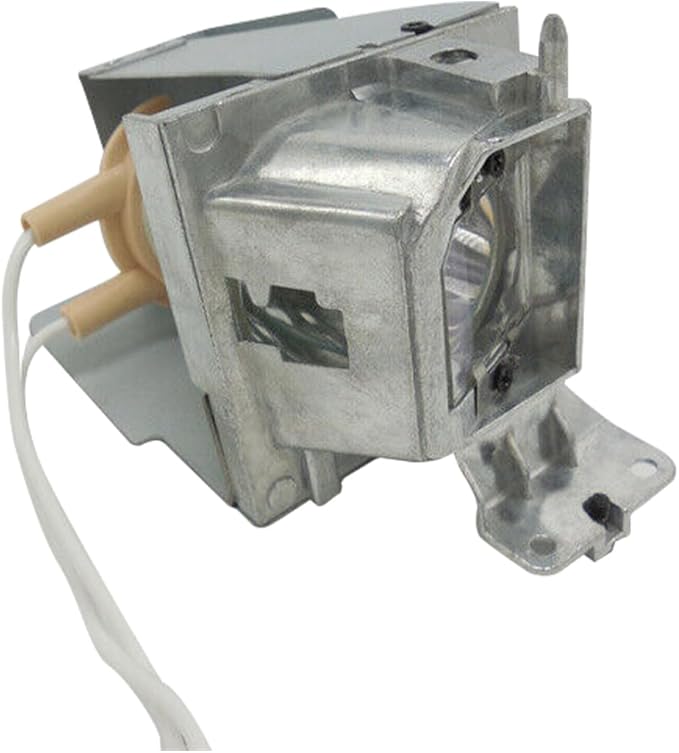 SORNEICDR Replacement Projector Lamp Bulb NP36LP BL-FP190E/FP190D MC.JH111.001