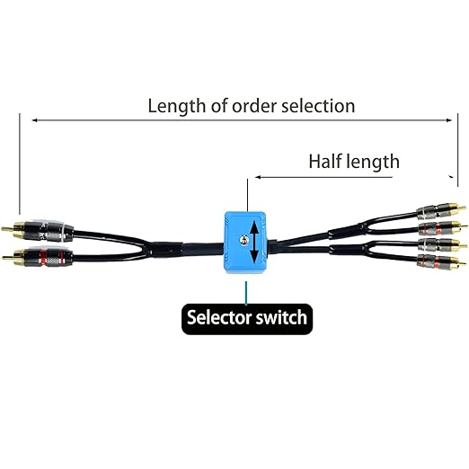 18ft Sound Channel swicher 2 male to 4 Male RCA Switch Selector 2 input 1