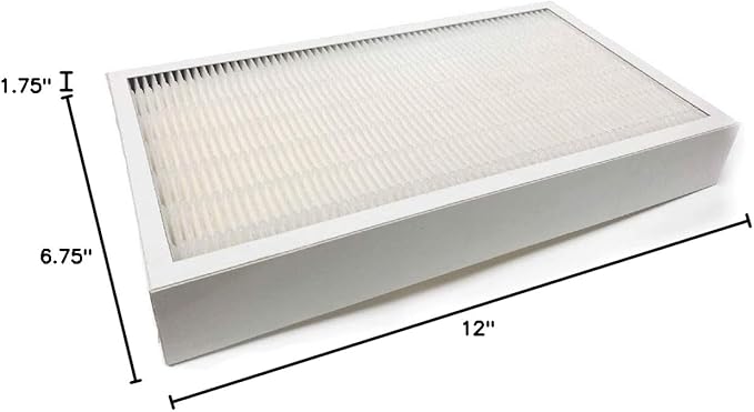 Nispira F1 C01 T02 HEPA Replacement Filter (4 Pack)