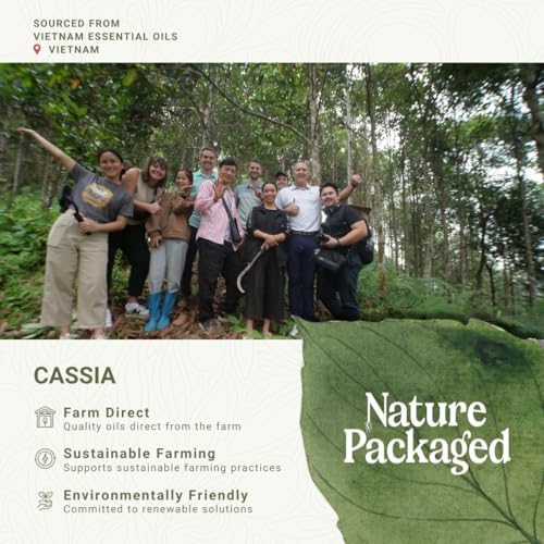 Cassia Essential Oil
