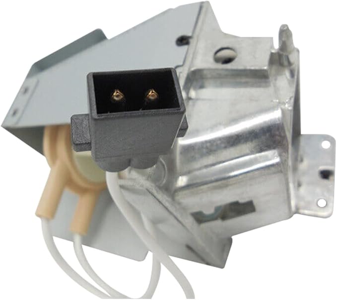 SORNEICDR Replacement Projector Lamp Bulb NP36LP BL-FP190E/FP190D MC.JH111.001