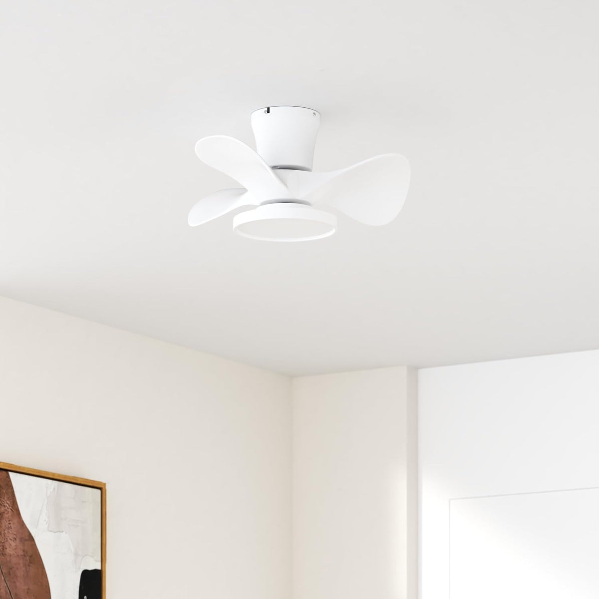 ocioc Quiet Ceiling Fan with LED Light 22 inch Large Air Volume Remote Contro...