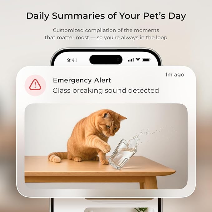 Petcube Cam 360 The Pack of 3 Camera | Ultimate Interactive WiFi Pet and Home