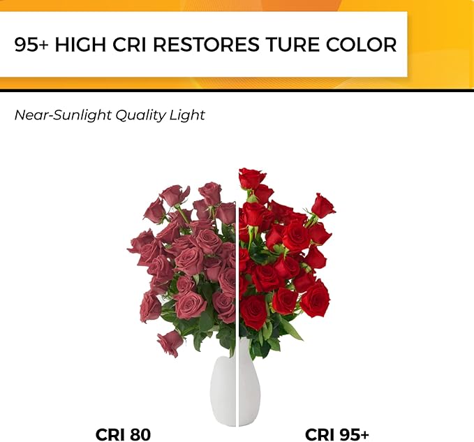 Hizashi Vintage LED Edison Bulb Dimmable, 6W Equivalent 60W, 2700k Warm White...
