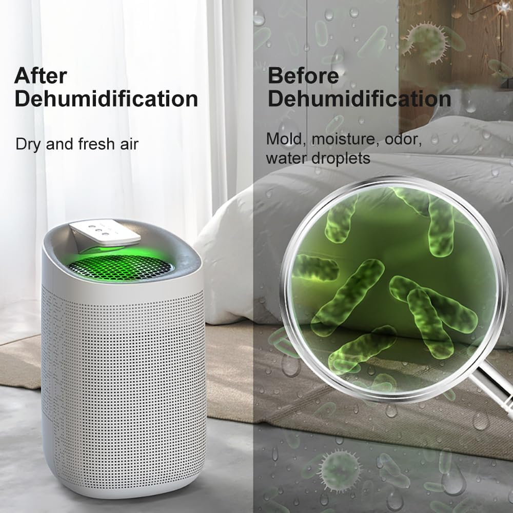 1000ml Dehumidifier w/Air Purifying Function