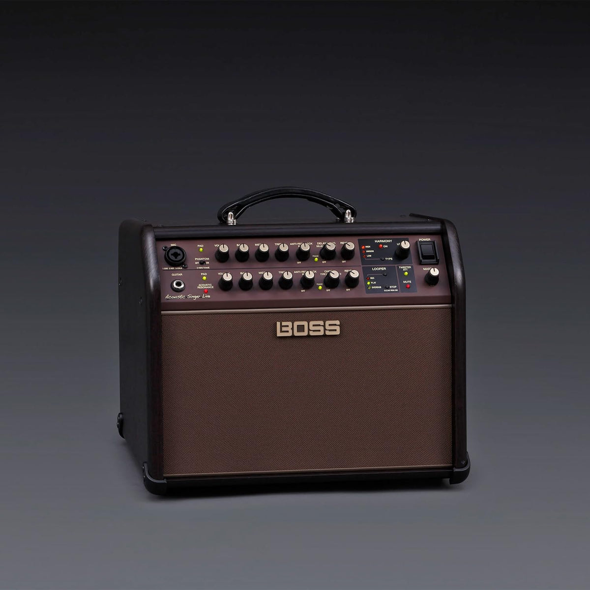 BOSS ACS-Live Combo Amplifier for Acoustic Guitar and Vocals