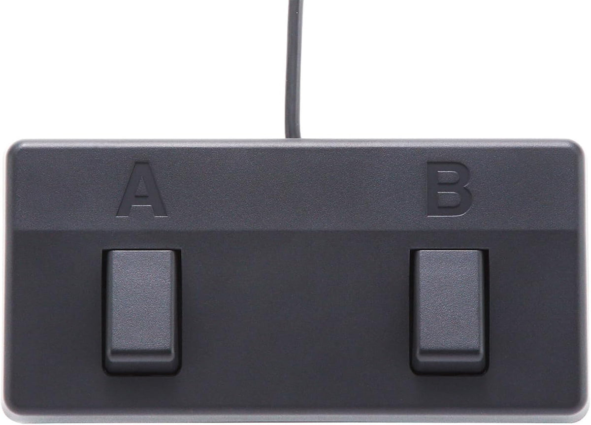 BOSS ACS-Live Combo Amplifier for Acoustic Guitar and Vocals